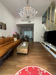 Springhill (D27), Terrace #575426621